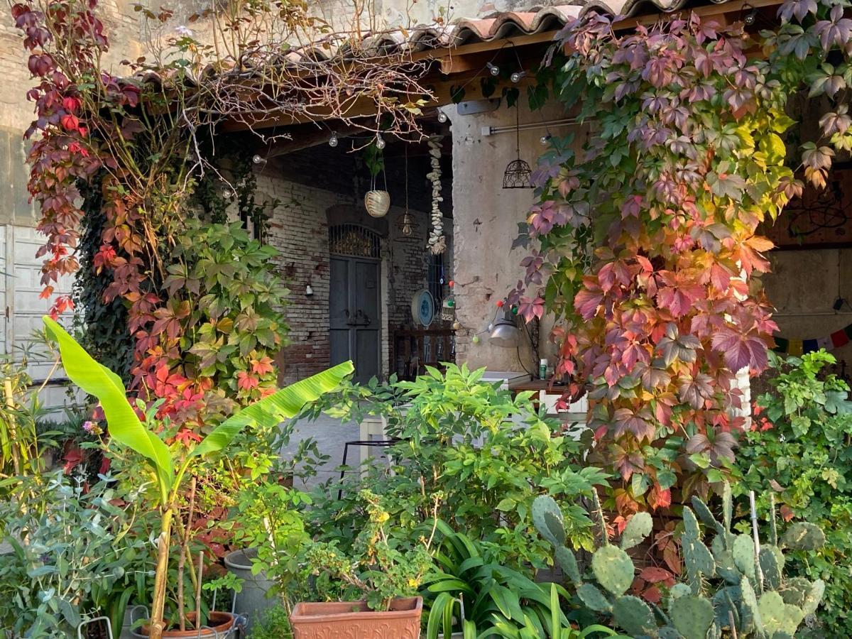 Medesano B&B Ostria Vento المظهر الخارجي الصورة